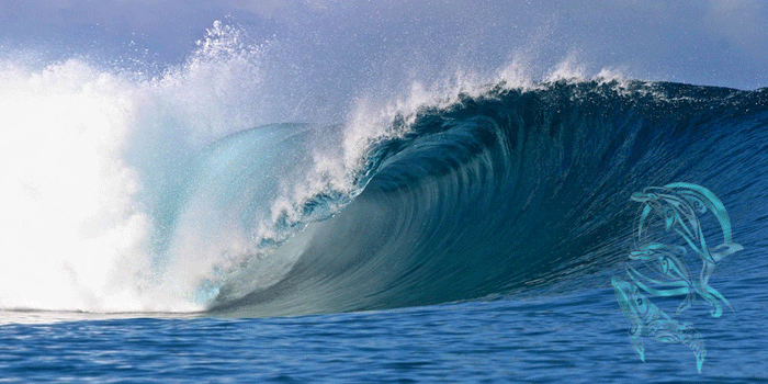Surfing - Moorea